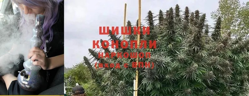 Конопля White Widow  продажа наркотиков  Вытегра 